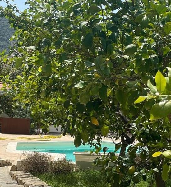 Sa Murta Bianca Guesthouse ブドーニ エクステリア 写真